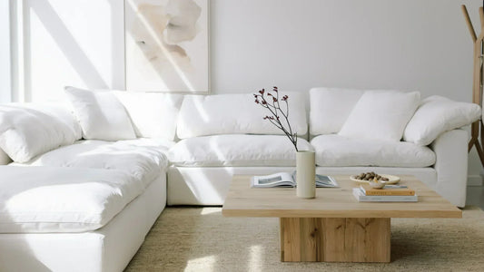What Sofa to Buy? A Complete Guide to Finding Your Perfect Couch! - Divan Dreams