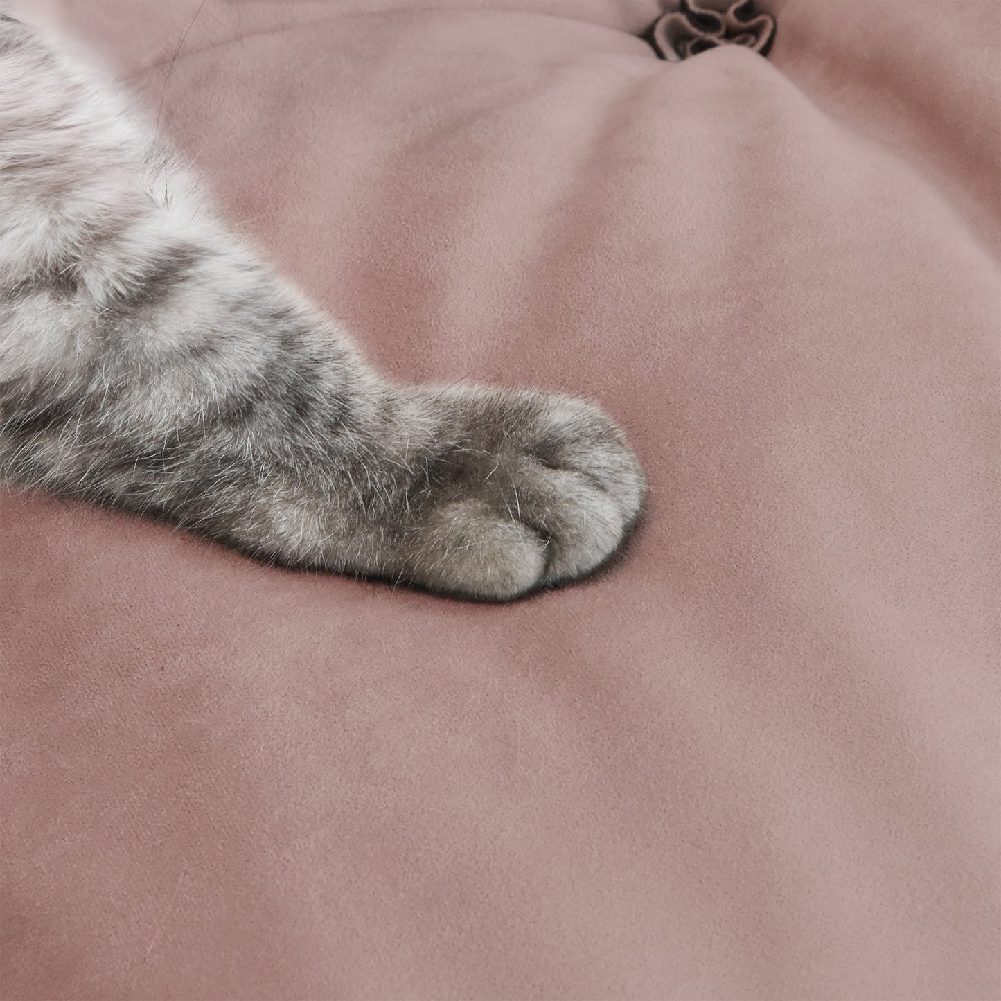 A cat paw pressing on a suede anti-scratch fabric of a pink sofa