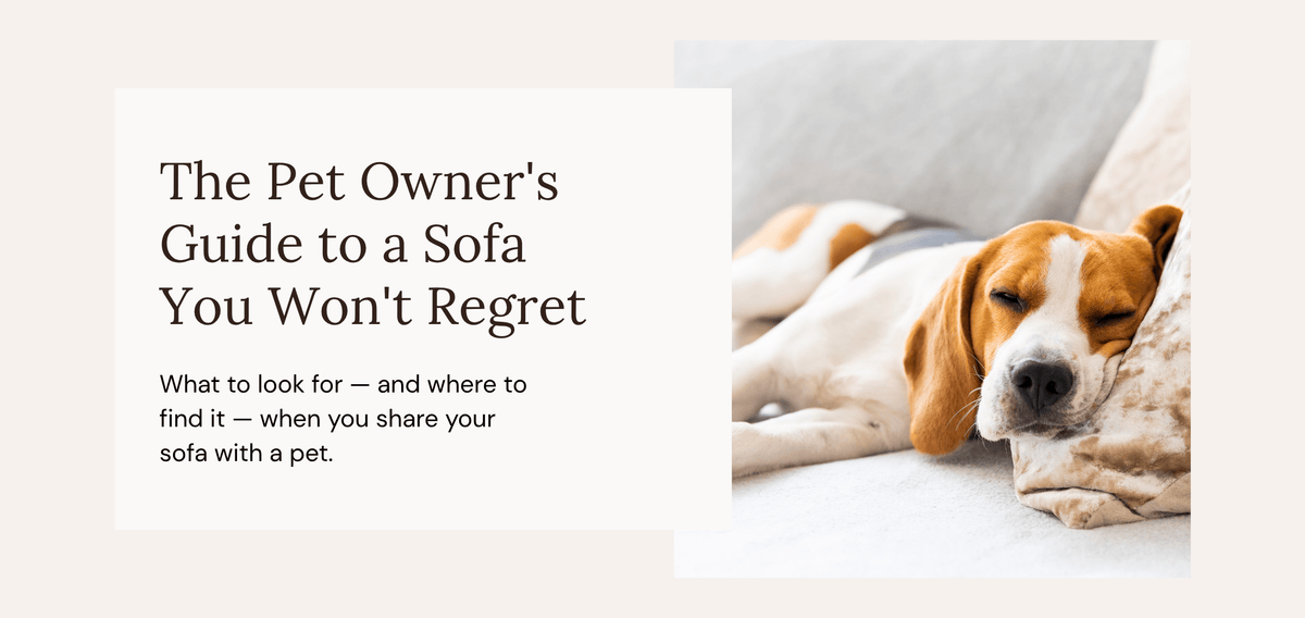 Best Pet-Friendly Sofas with Washable Covers — Easy to Clean
