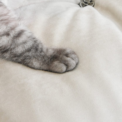 Close-up of a cat paw on a beige suede sofa