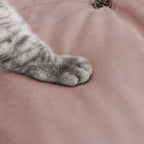 A cat paw pressing on a suede anti-scratch fabric of a pink sofa