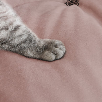 A cat paw pressing on a suede anti-scratch fabric of a pink sofa